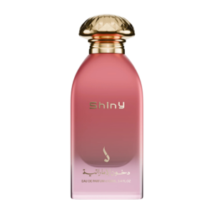 Dkhoni Shiny 100ML